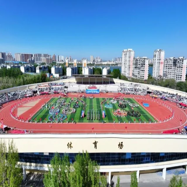 女篮总决赛激战正酣,全方位解析巅峰对决